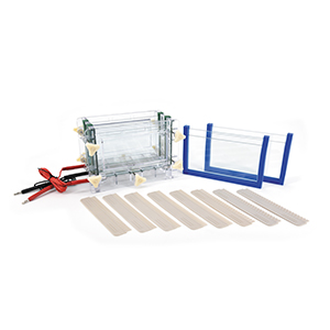 北京六一DYCP-31C型瓊脂糖水平電泳槽